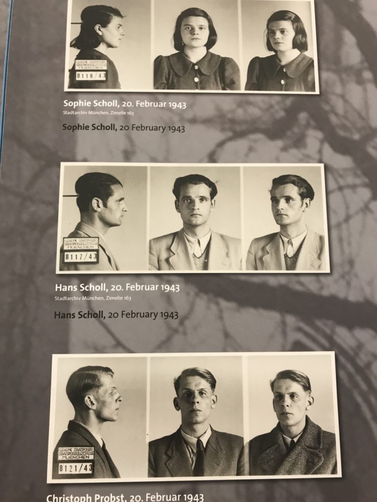 White Rose Exhibit