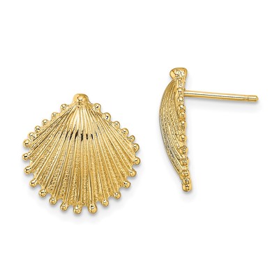 14K Scallop Shell Post Earrings