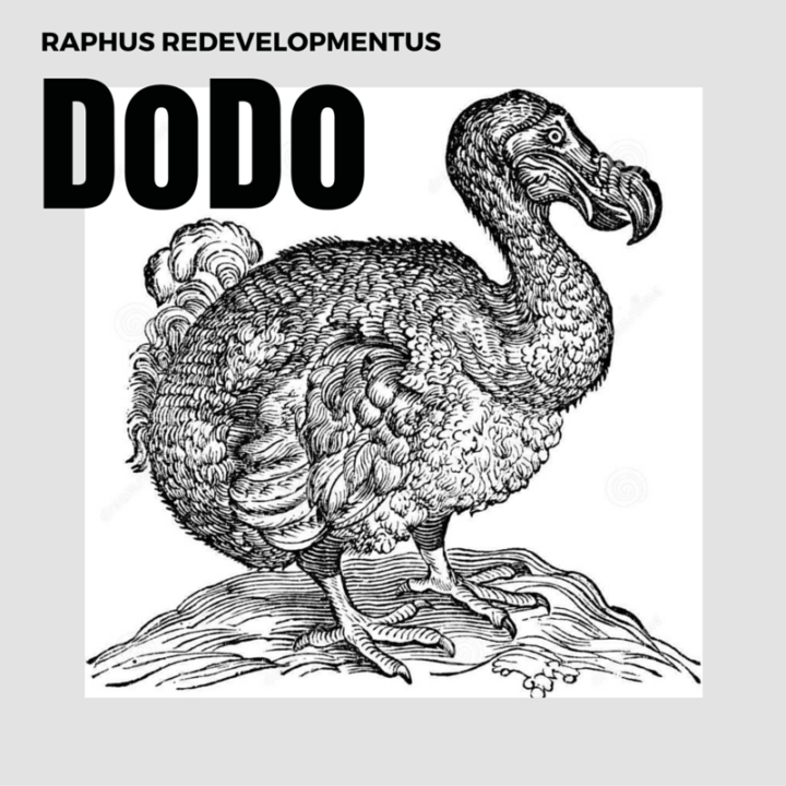 Raphus-Redevelopmentus-The-Dodo