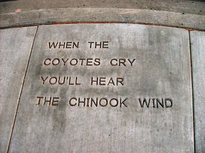 Stamped Poetry Tri Met Portland