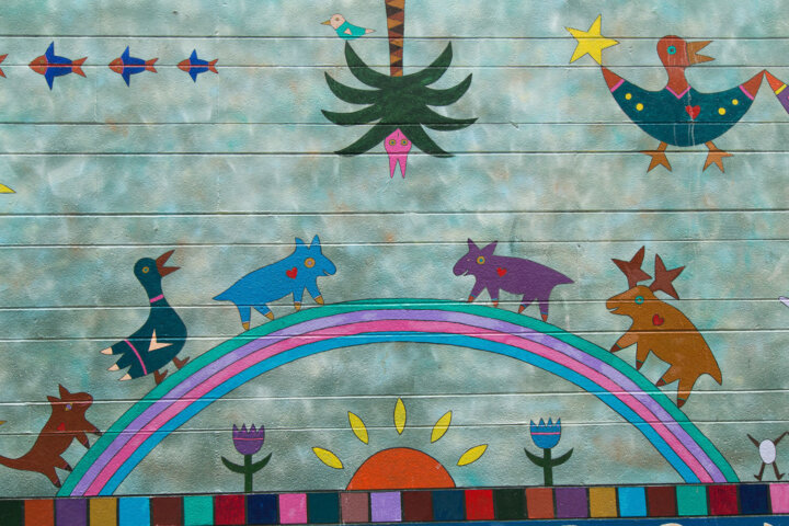 Adventurein Paradise 2456