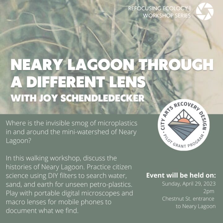 Copy of Neary Lagoon