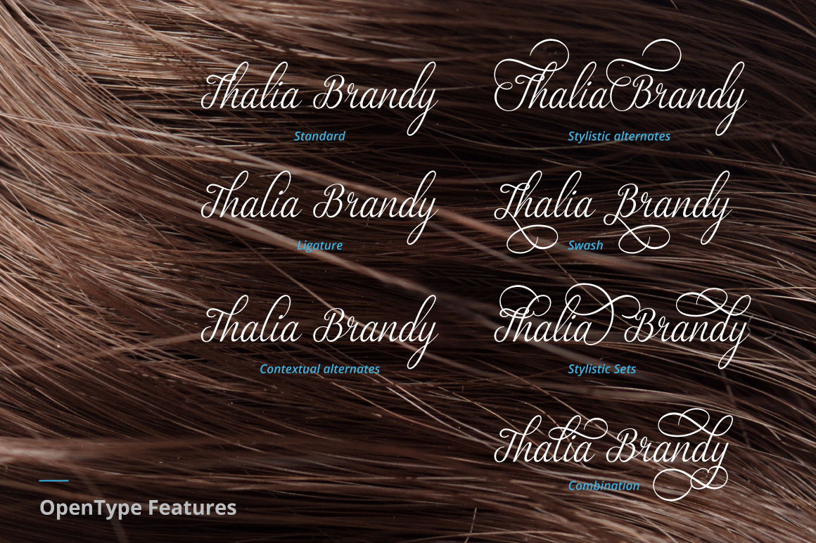 Download Шрифт "Zelda Script - Font" / Zelda Script - Font - Шрифт на тему графика script font typeface calligraphy ornamental cursive elegant classic pen point beautiful modernundefined