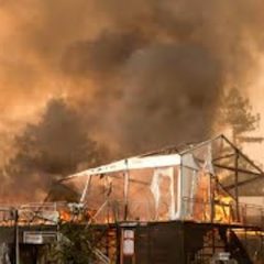Napa Fire
