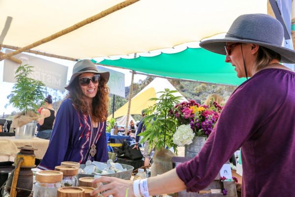 california cannabis events set to take flight