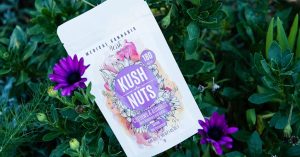 kush nuts