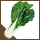 Greens, Asian