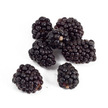 Blackberry: Siskiyou image