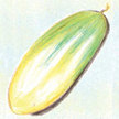Cucumber: White Emerald image