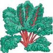 Chard: Red Ruby image