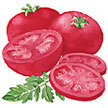 Tomato: German Pink image
