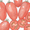 Tomato: Red Grape image