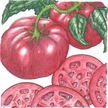 Tomato: Brandywine Pink image