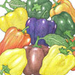 Peppers: Burpee Sweet Pepper Carnival Mix image