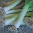 Leek: Sevilla image