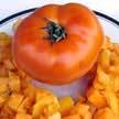 Tomato: Homer Fike's Yellow Oxheart image