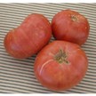 Tomato: Vinson Watts image