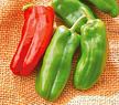 Peppers: Giant Marconi image