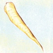 Parsnip: Lancer image
