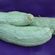 Squash, Winter: Candy Roaster - North Georgia image