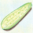 Cucumber: Gele Tros or Large Dutch Yellow image