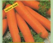 Carrot: Carrots image