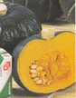 Squash, Winter: Kuribo, Hybrid (Miniature Kabocha) image