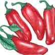 Peppers: Jalapenos image