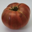 Tomato: Black Krim image