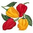 Peppers: Orange and Red Suave image