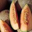 Melon: Blenheim Orange Muskmelon image