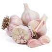 Garlic: Bella Italiano image