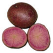 Potato: Highland Burgundy Red image