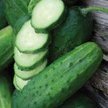 Cucumber: Straight Eight image