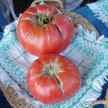 Tomato: Bread and Salt image
