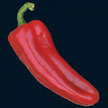 Peppers: Patio Red Marconi image