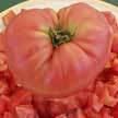 Tomato: Big Pink Hybrid image