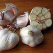Garlic: Thermadrone: French Intrigue image