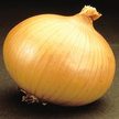 Onion: Savannah Sweet Hybrid image