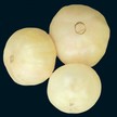 Tomato: White Queen image