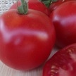 Tomato: Northern Delight image
