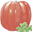 Pumpkin: Big Max image