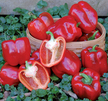 Peppers: Burpee Sweet Pepper Red Stuff Hybrid image