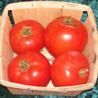 Tomato: AR Traveler image
