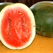 Watermelon: Farmer's Wonderful F1 Triploid image