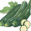 Squash, Summer: Wildcat F1 Zucchini image