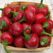Peppers: Red Popper image