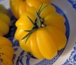 Tomato: Yellow Ruffled image