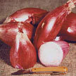 Shallot: Pikant #1 image