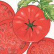 Tomato: Grandma's pick image